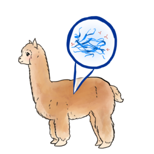 Alpaca Nanobodies